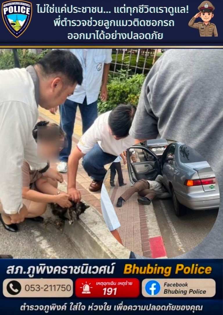 “ทุกชีวิตสำคัญเท่ากัน” พี่ ๆ ตำรวจ สภ.ภูพิงคราชนิเวศน์ มุดใต้ท้องรถช่วยน้องเหมียวปลอดภัย